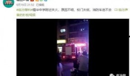 爆料视频,一窥事件背后惊人真相